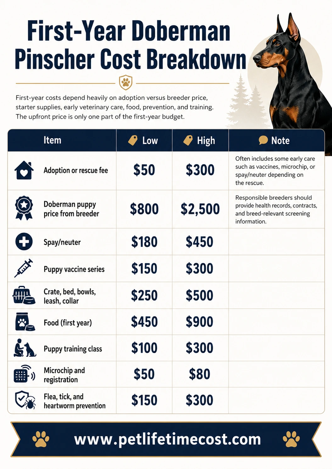 Doberman cost infographic showing purchase price monthly yearly and lifetime ownership costs