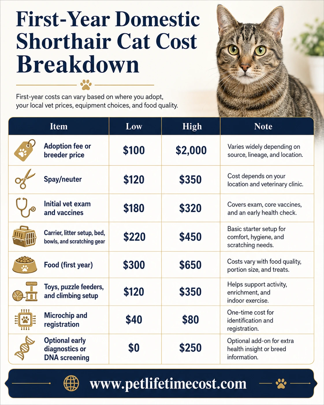 Domestic Shorthair cat cost infographic showing adoption price, monthly cost, yearly cost, and lifetime cost