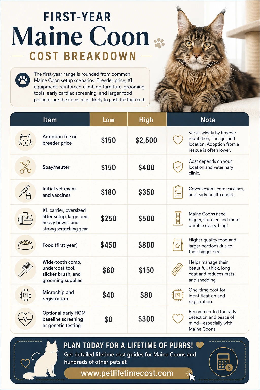 Maine Coon cost infographic showing purchase price, monthly cost, yearly cost, and lifetime cost