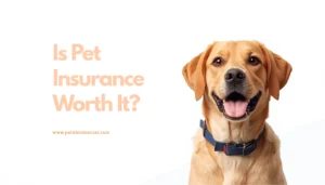 Is Pet Insurance Worth It? A Realistic Cost-Benefit Analysis (2026)