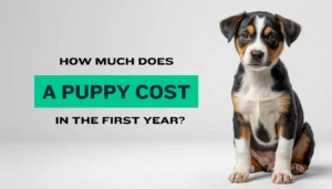 How Much Does a Puppy Cost in the First Year? (2026 Budget Guide by Breed Size)